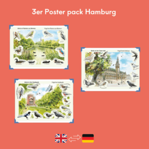 Les 3 posters en anglais-allemand