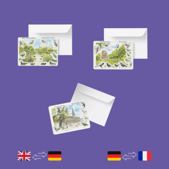 10 Klappkarten 17 x 12 cm  mit Umschläge - 6 Variante