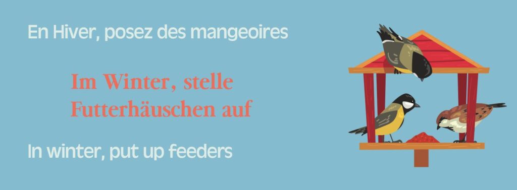 En hiver, posez des Mangeoires. Im Winter, Stelle Fütterhäuschen auf.
In Winter, put up Feeders